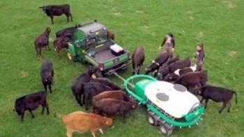 機(jī)械化養(yǎng)牛聽(tīng)起來(lái)就高大上，但在我國(guó)真的適合嗎？